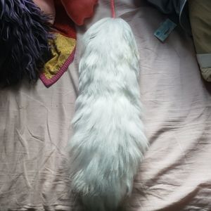 white yarn tail